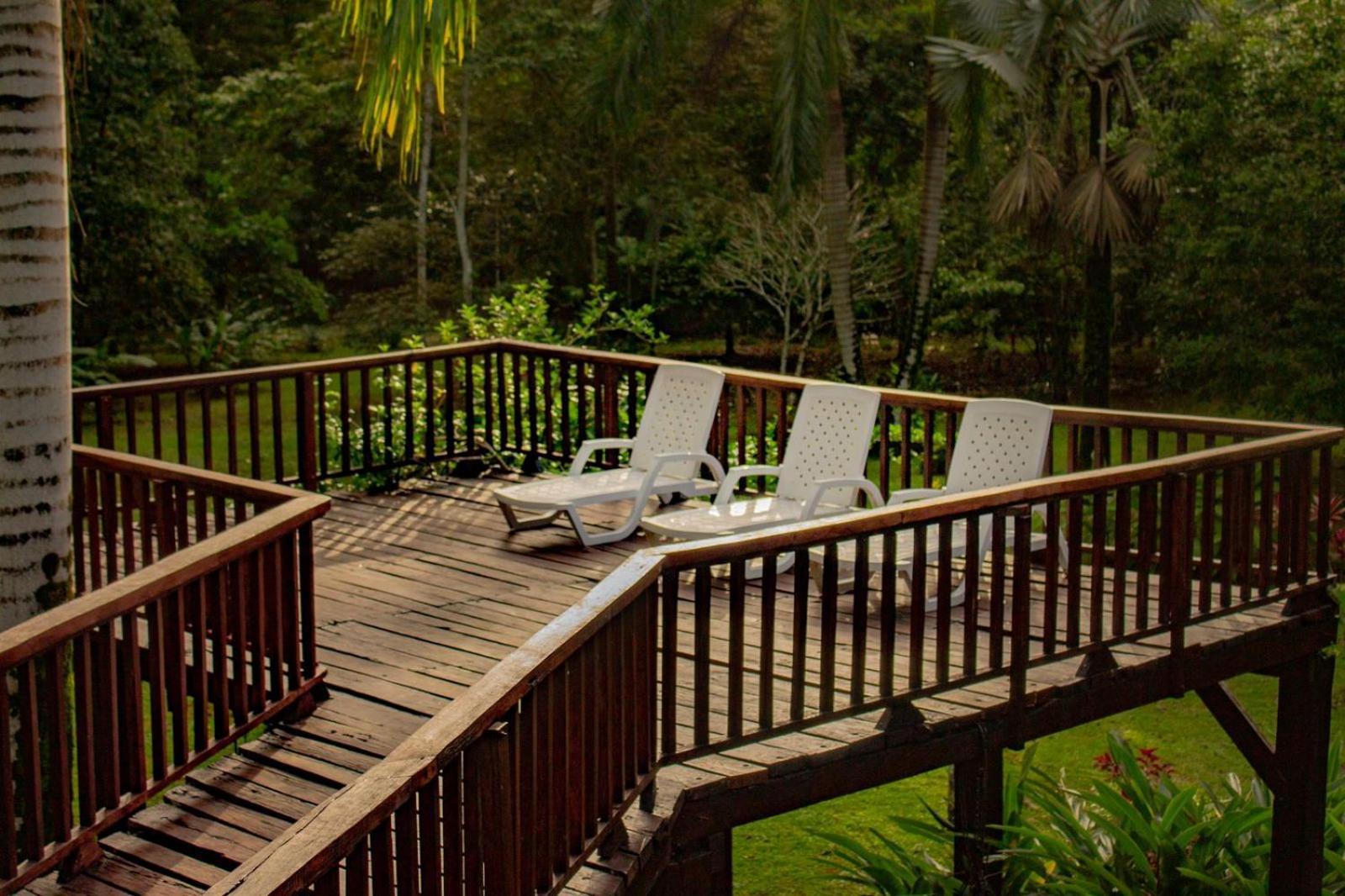 Casa Heliconia - Spacious, Big Garden, Close To The Beach Puerto Viejo de Talamanca Экстерьер фото